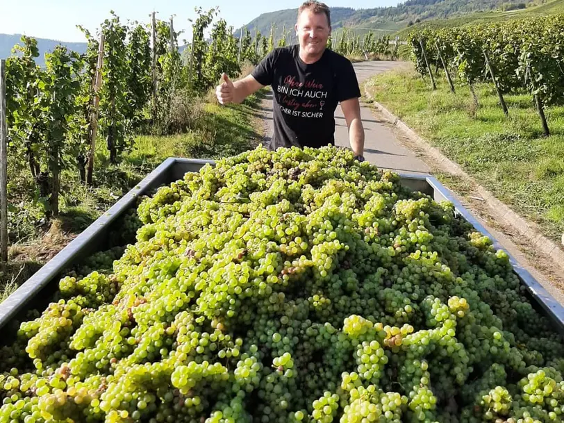 Weingut Wolfgang Beth in Kinheim/Höhe